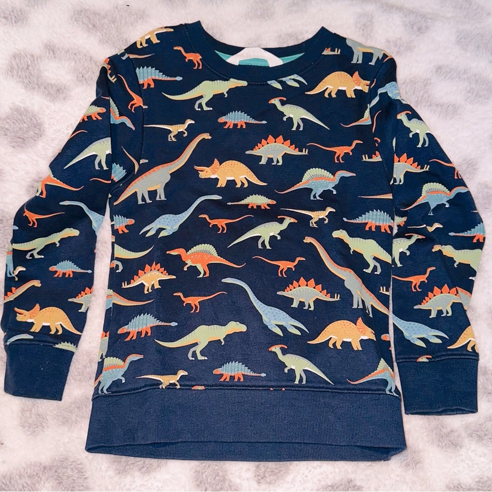 Dinosaur Sweatshirt